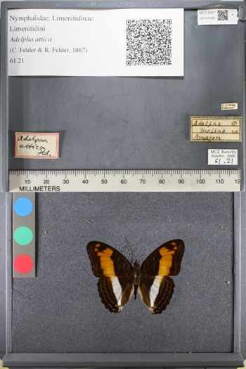 Media type: image;   Entomology 141026